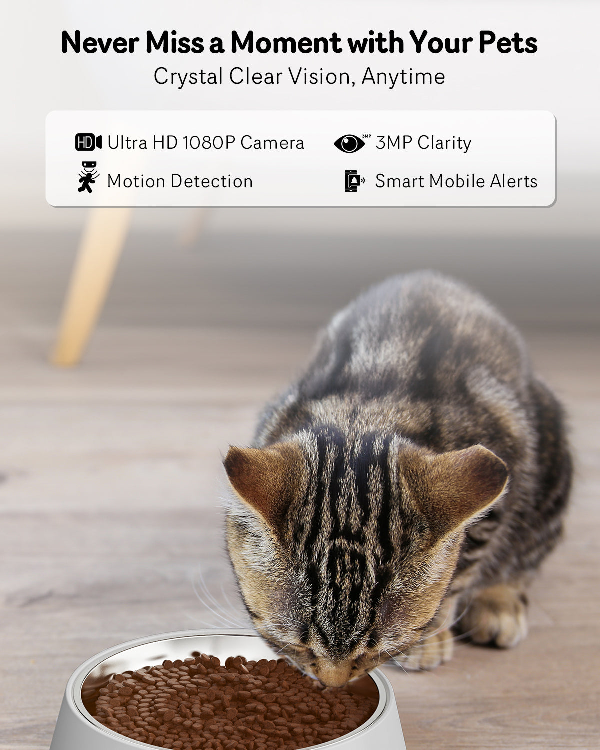 Automatic Cat Feeder With Camera, 1080P HD Video, Night Vision, 5G WiFi, 2-Way Audio, 10s Voice Recorder, Low Food & Blockage
